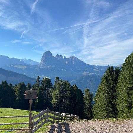 Apartment Nido Sëlva di Val Gardena Eksteriør billede