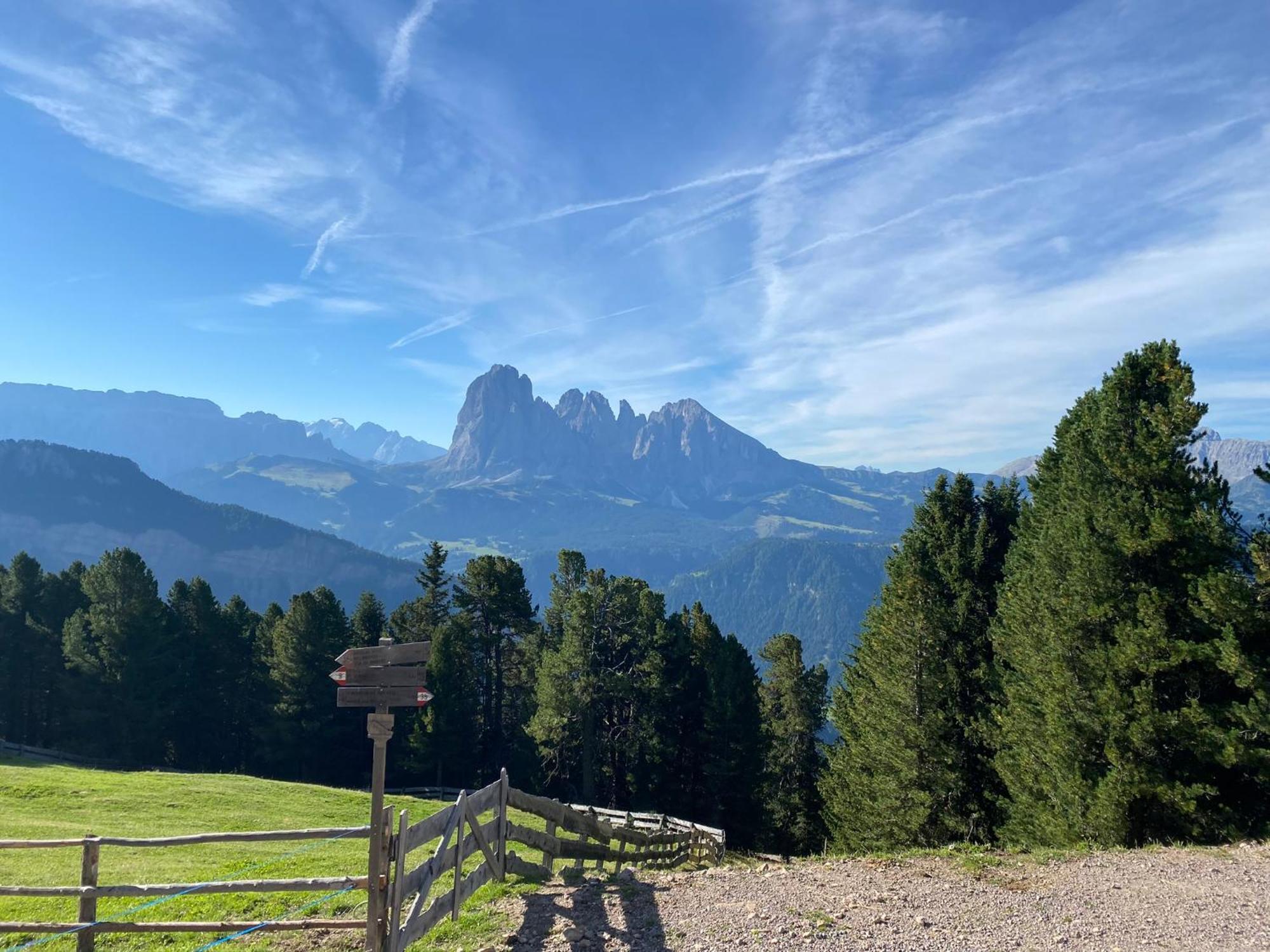 Apartment Nido Sëlva di Val Gardena Eksteriør billede