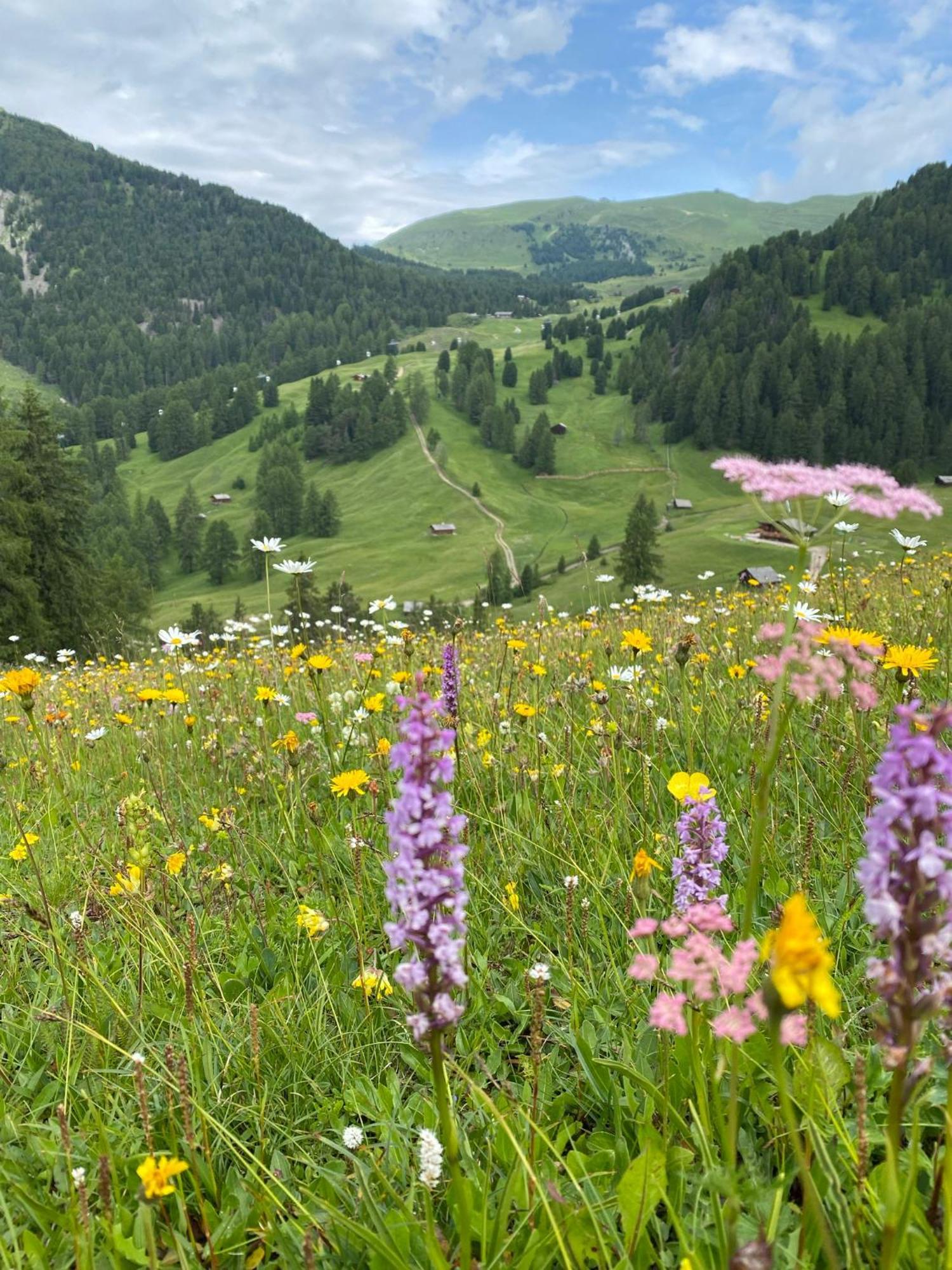 Apartment Nido Sëlva di Val Gardena Eksteriør billede