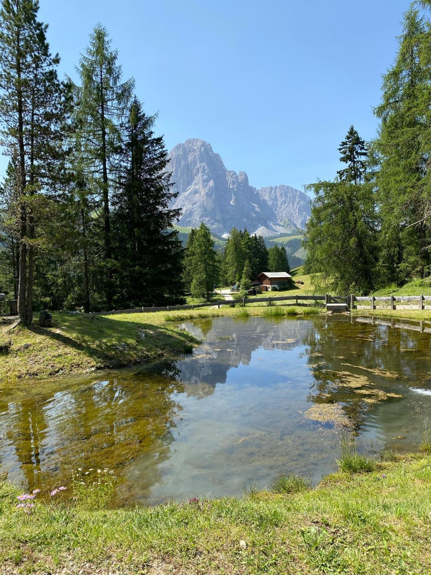 Apartment Nido Sëlva di Val Gardena Eksteriør billede